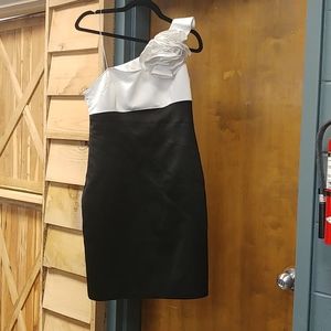 Adrianna Papell Boutique black & white dress sz 12